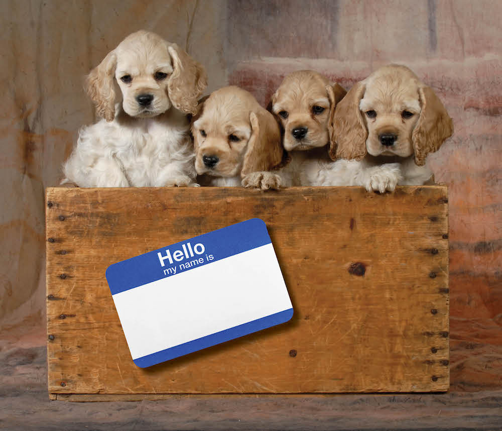 Question of the Week